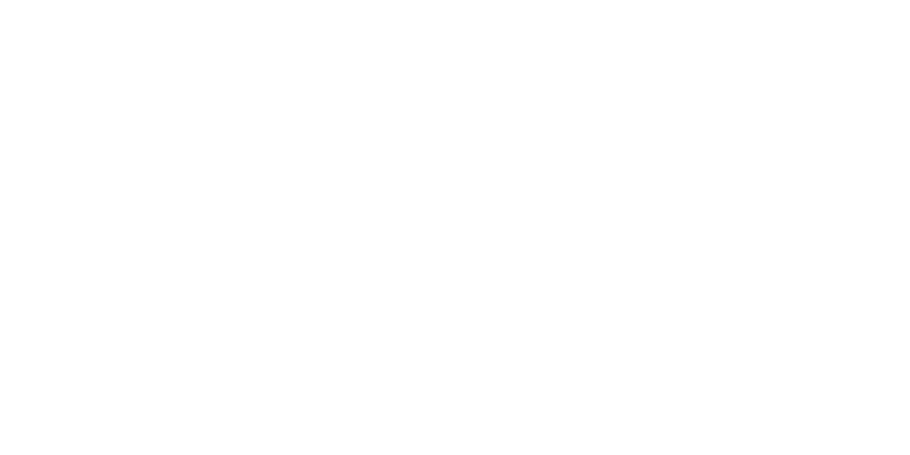 Topo-Software Company Logo